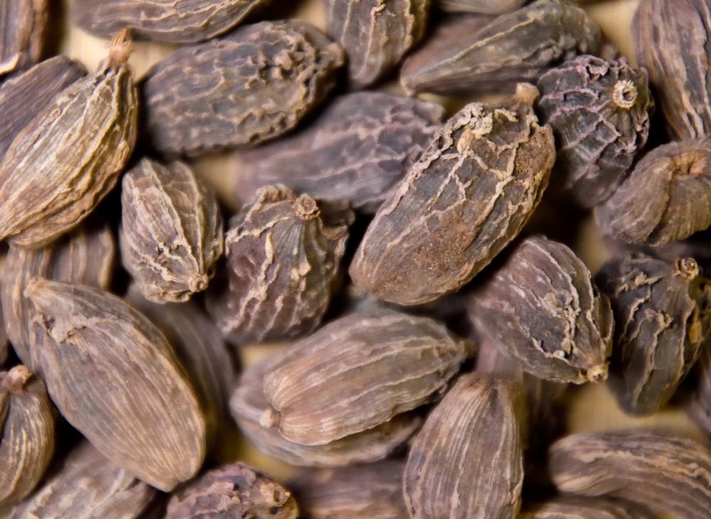 Black Cardamom